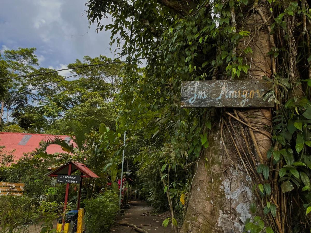 Los Amigos Jungle Hotel Tortuguero Exterior foto