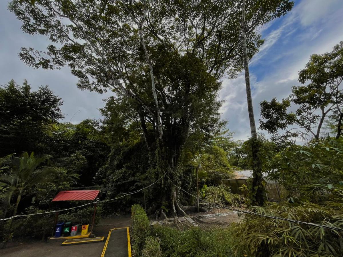 Los Amigos Jungle Hotel Tortuguero Exterior foto