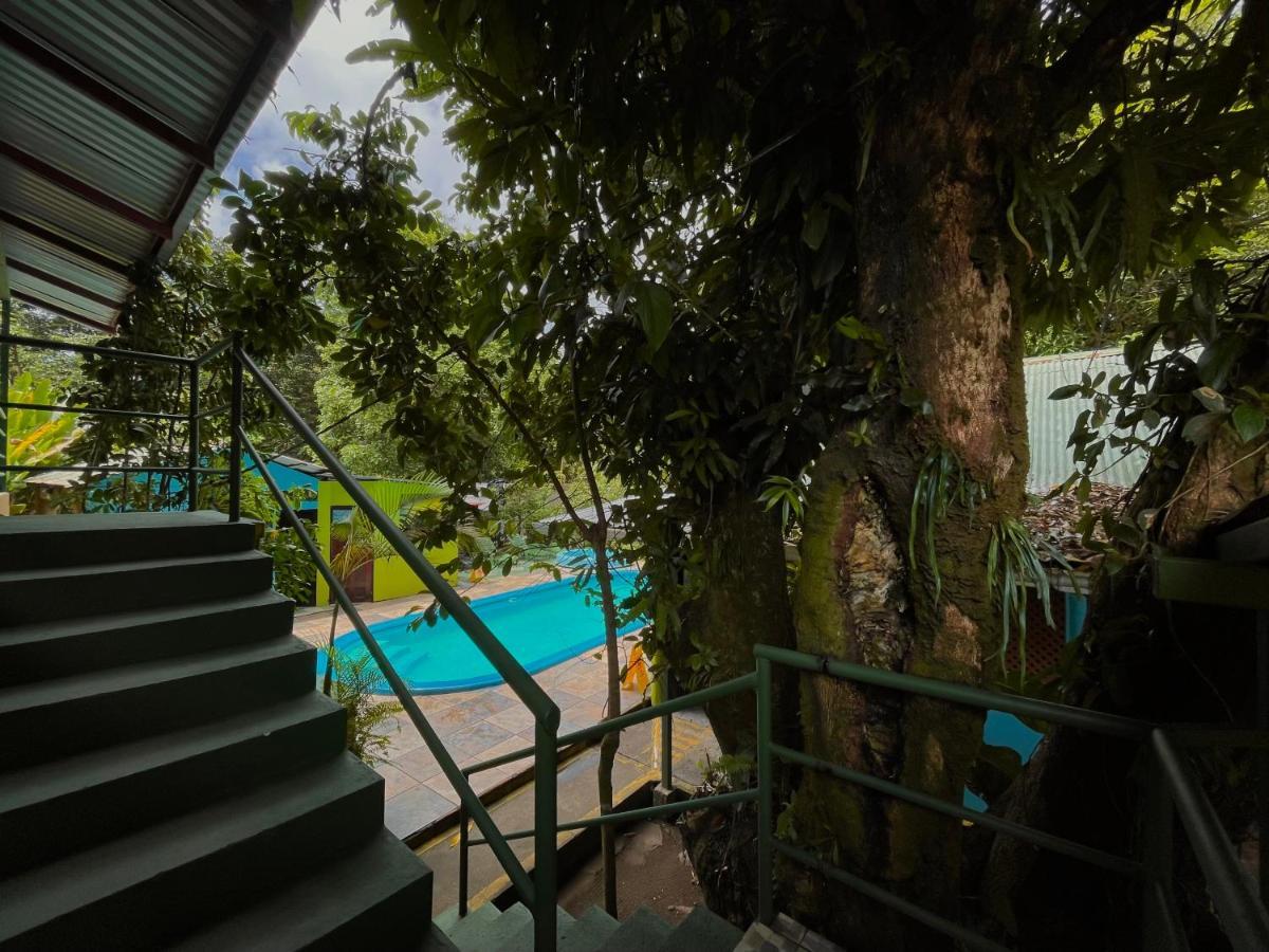 Los Amigos Jungle Hotel Tortuguero Exterior foto