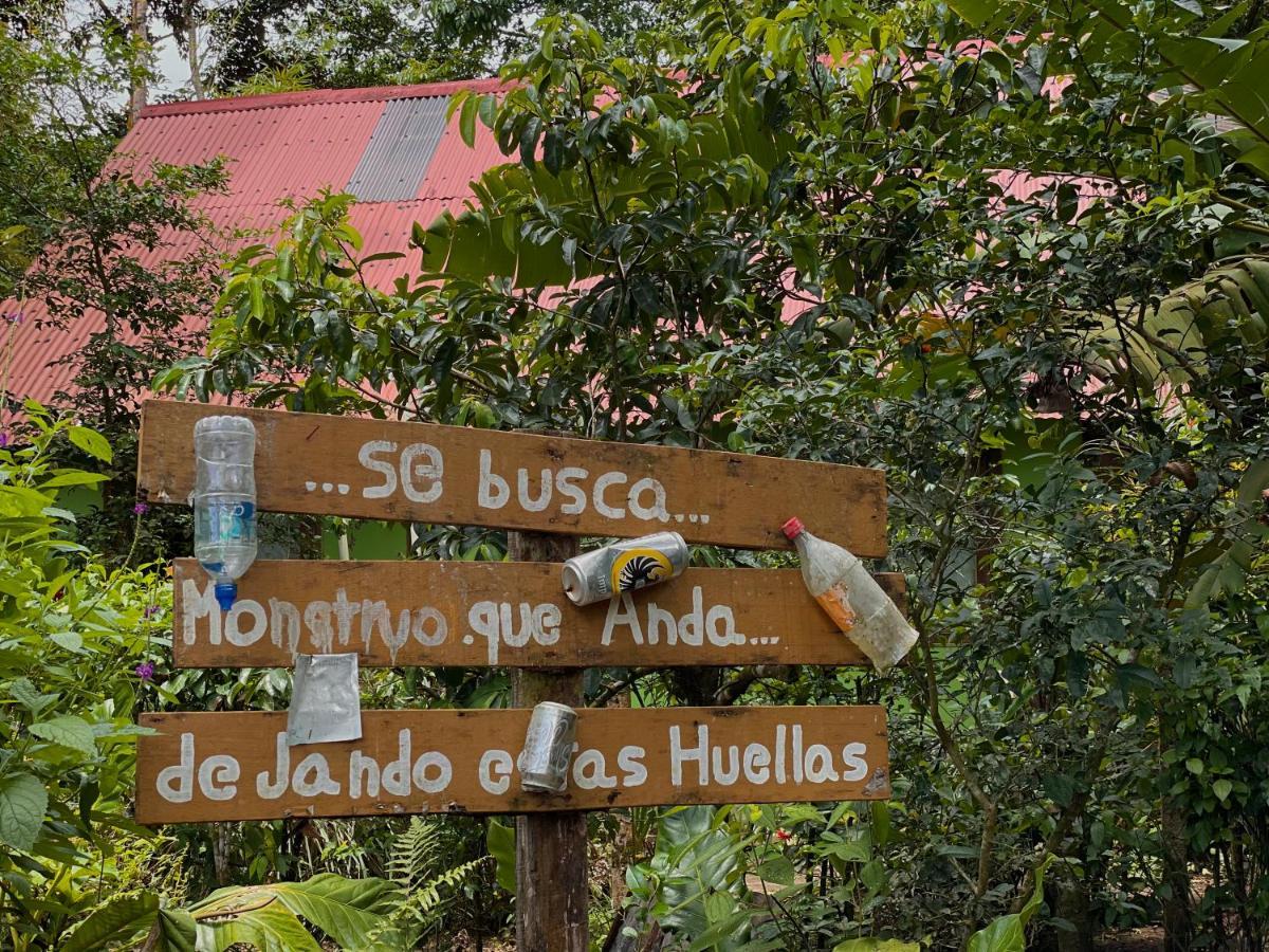 Los Amigos Jungle Hotel Tortuguero Exterior foto